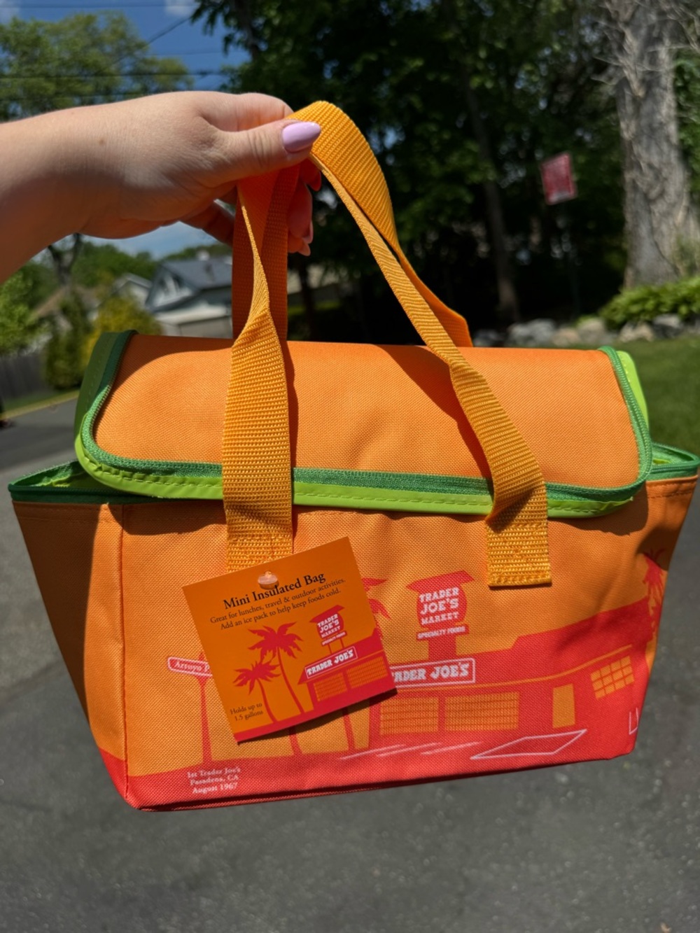 NWT! Trader Joe's Orange & Lime Green Insulated Mini Tote Summer 2026